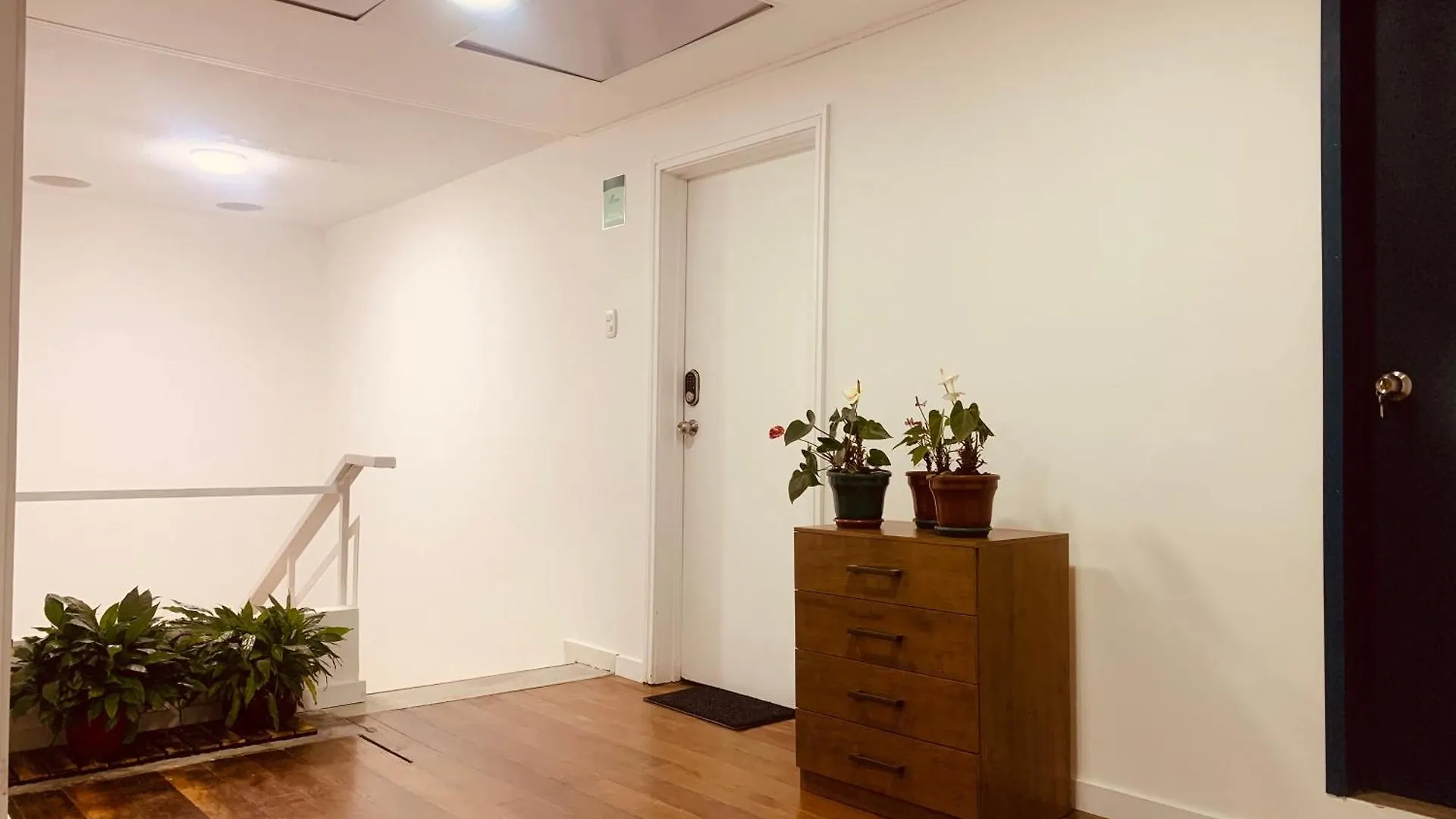 Hostel Casa Creazzo 62 - Movistar Arena Bogotá Kolumbia